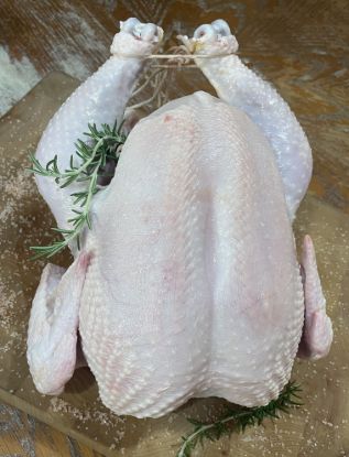 Picture of Whole Chicken