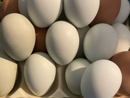 Picture for category Eggs