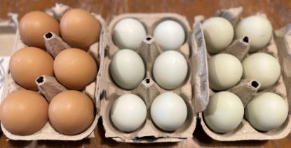 Picture of Farm Fresh Eggs