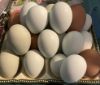 Picture of Farm Fresh Eggs